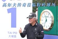 现有阵容的