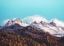 开云中文官网-行情下跌鲍尔不再孤高 为勇士黄蜂活塞完成试训