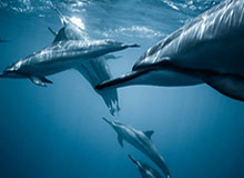 开云集团-​于汉超：世界杯球场比赛很兴奋 想帮申花实现目标