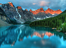 开云中文官网-行情下跌鲍尔不再孤高 为勇士黄蜂活塞完成试训